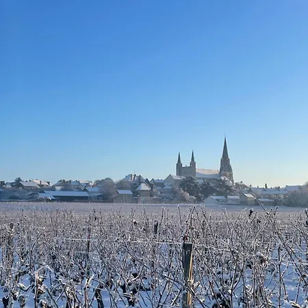 Sirona - Domaine Viticole Et D'hotes Nocleg ze śniadaniem Le Puy-Notre-Dame