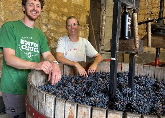 Sirona Bed & Breakfast